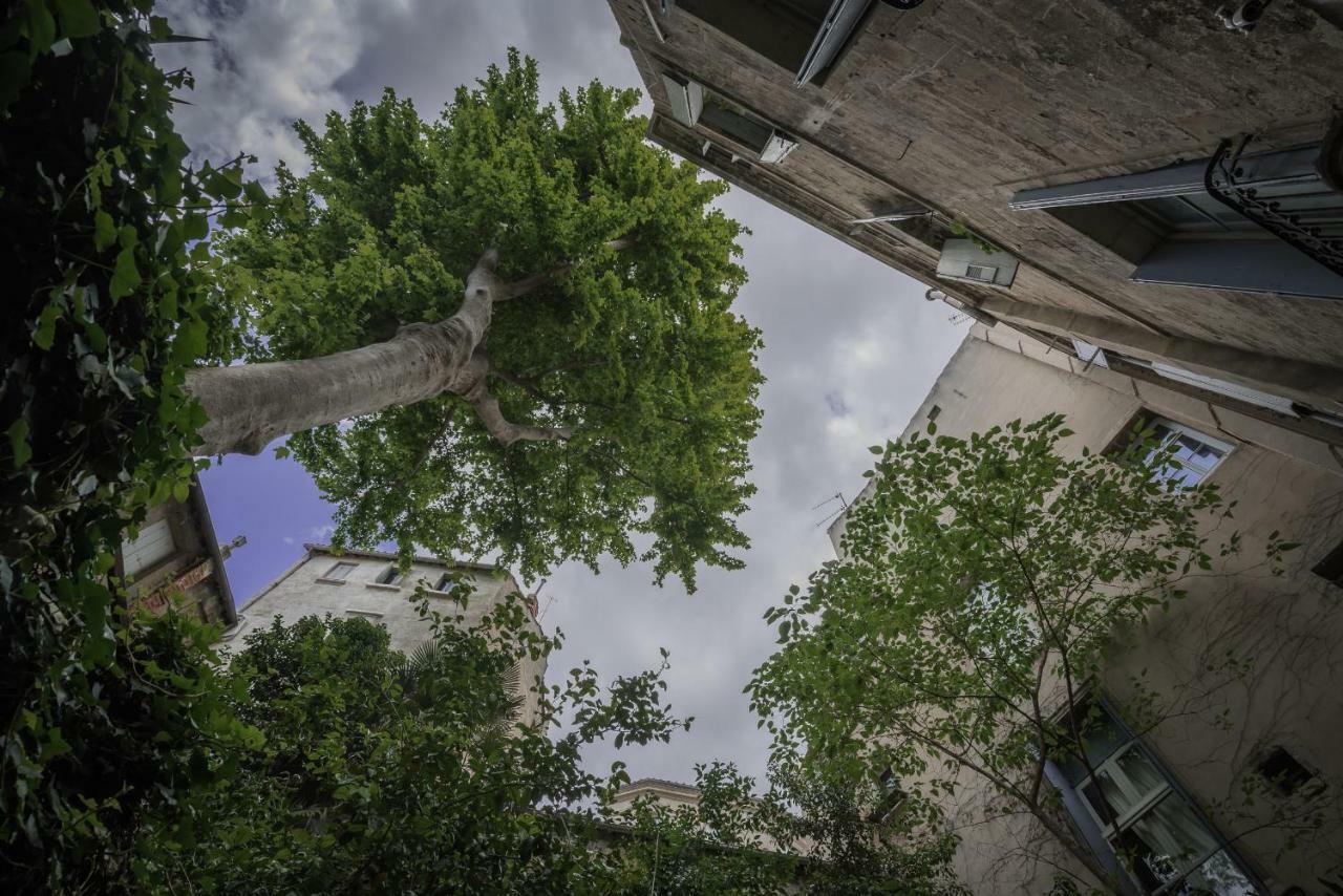 モンペリエLes Jardins De L'Ecusson - Premiere Conciergerieアパートメント エクステリア 写真