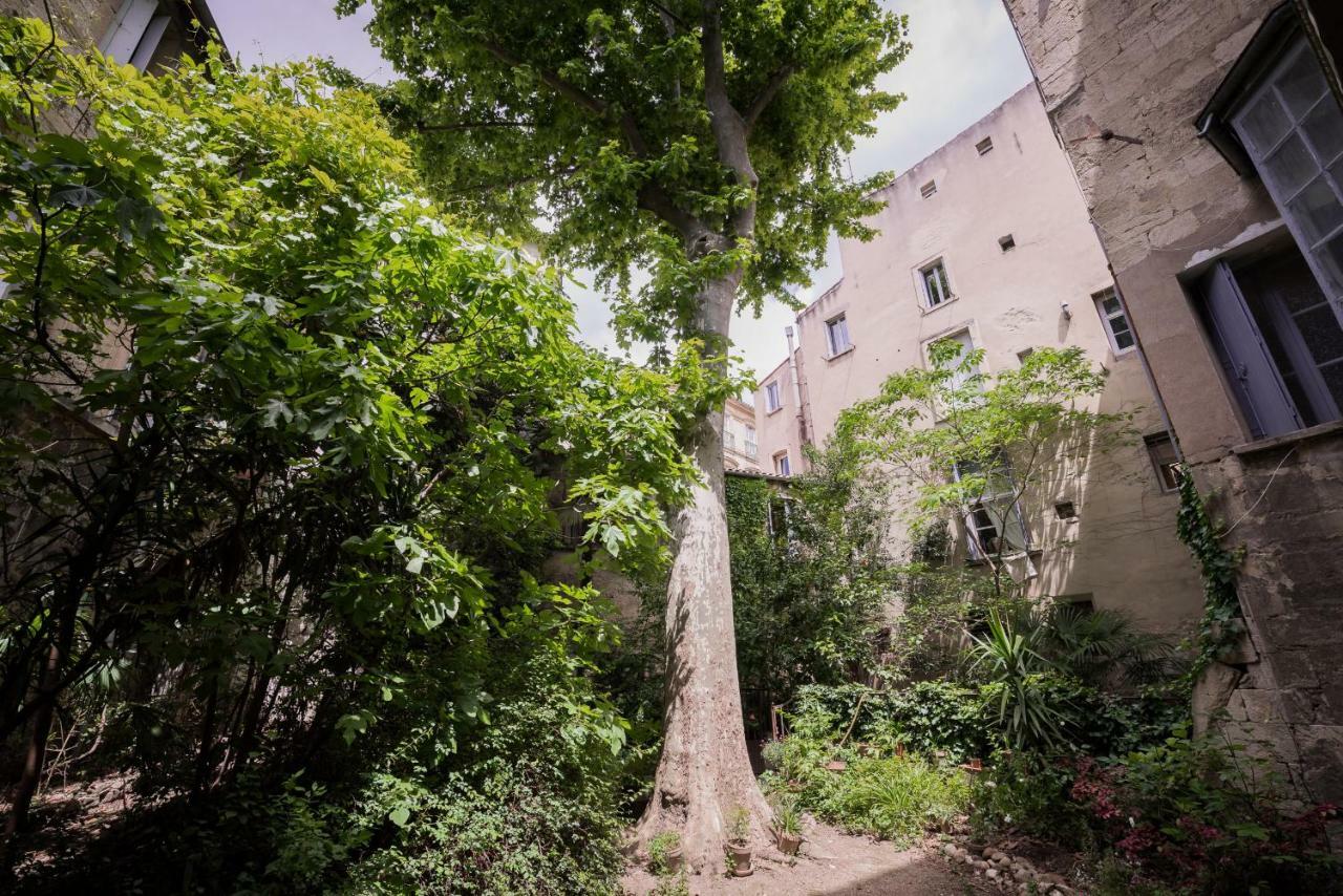 モンペリエLes Jardins De L'Ecusson - Premiere Conciergerieアパートメント エクステリア 写真